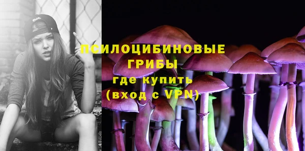 меф Ладушкин